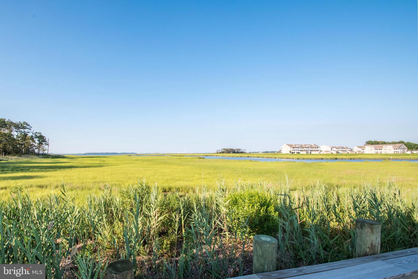 DESU2092688-804082062084-2025-09-02-23-42-30 36057 Indigo Bunting Ct #4 | Ocean View, DE Real Estate For Sale | MLS# Desu2092688  - Jack Lingo REALTOR