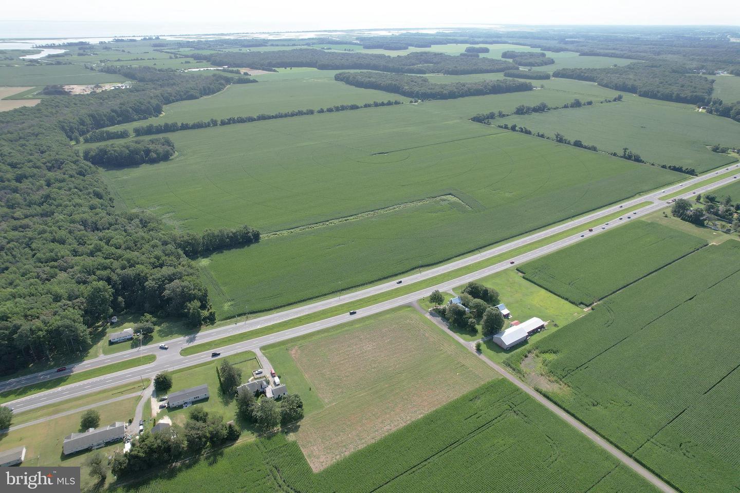 DESU2092728-804083250650-2025-08-15-12-48-37 Wildflower Ln | Milford, DE Real Estate For Sale | MLS# Desu2092728 - Jack Lingo REALTOR DESU2092728-804083250650-2025-08-15-12-48-37 Wildflower Ln | Milford, DE Real Estate For Sale | MLS# Desu2092728 - Jack Lingo REALTOR