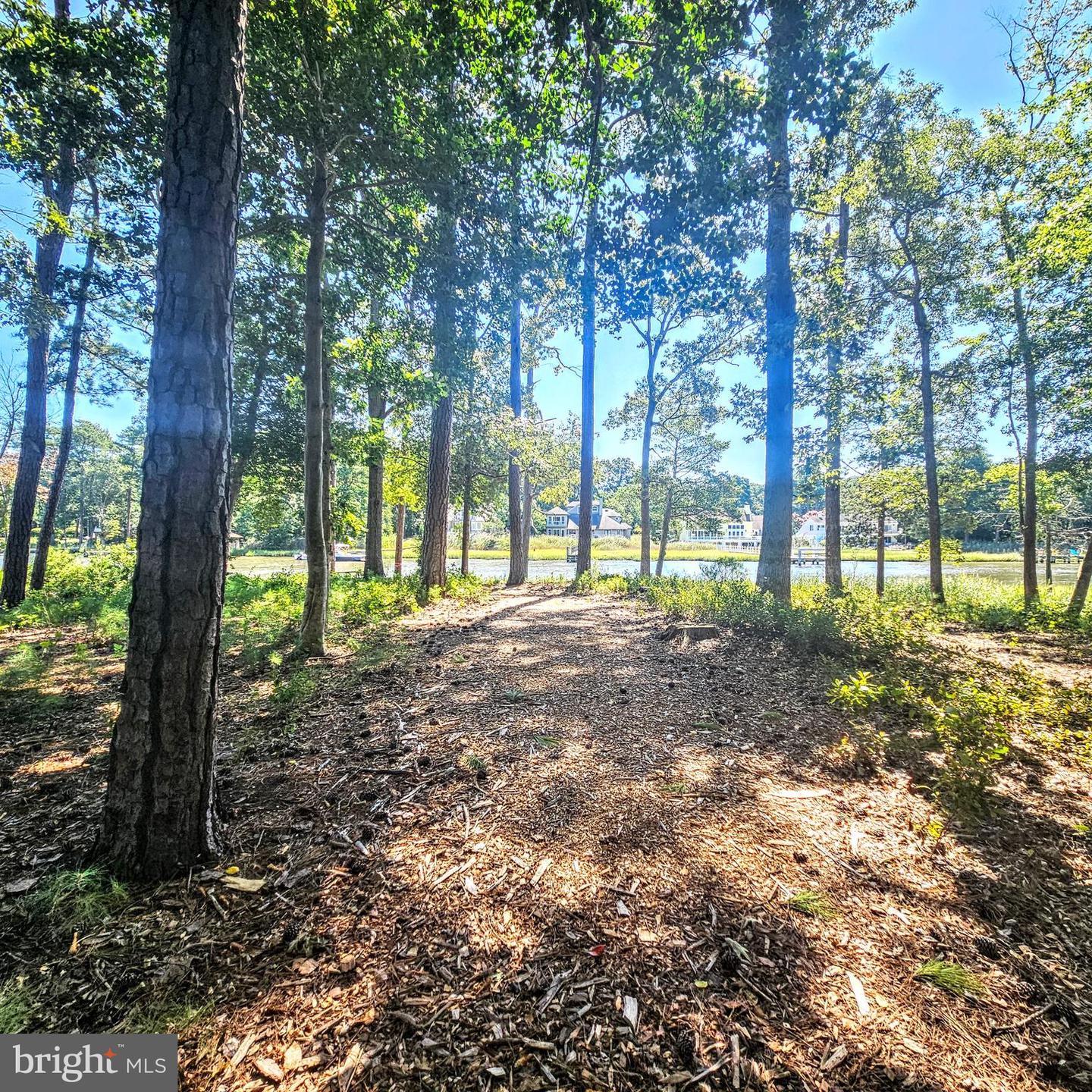 DESU2092750-804123796522-2025-08-28-12-19-39 37419 Liverpool Ln | Rehoboth Beach, DE Real Estate For Sale | MLS# Desu2092750  - Jack Lingo REALTOR