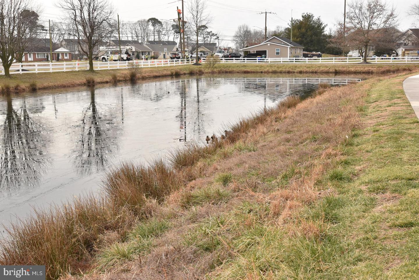 DESU2092936-804415505292-2026-03-21-09-48-01 29479 Whitstone Lane #1002 | Millsboro, DE Real Estate For Sale | MLS# Desu2092936 - Jack Lingo REALTOR DESU2092936-804415505292-2026-03-21-09-48-01 29479 Whitstone Lane #1002 | Millsboro, DE Real Estate For Sale | MLS# Desu2092936 - Jack Lingo REALTOR