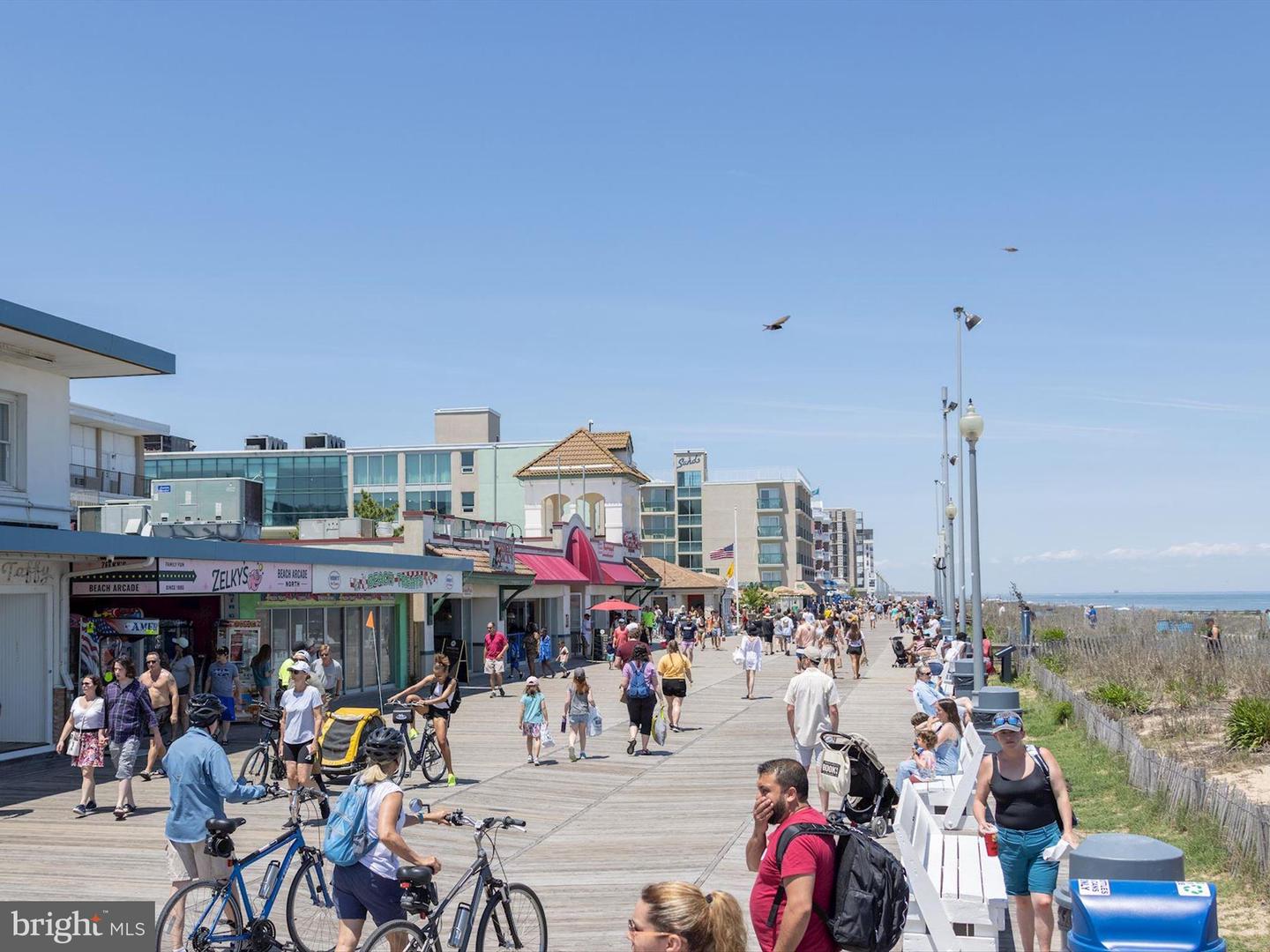 DESU2092974-804122841612-2025-11-19-14-22-14 515 Stockley Street Ext | Rehoboth Beach, DE Real Estate For Sale | MLS# Desu2092974  - Jack Lingo REALTOR