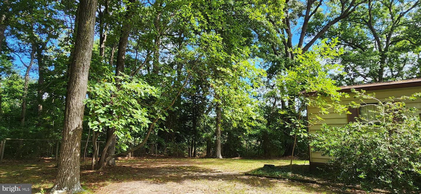 DESU2093086-804113961600-2025-08-29-17-49-43 28456 Pocahontas Ave #7531 | Millsboro, DE Real Estate For Sale | MLS# Desu2093086 - Jack Lingo REALTOR DESU2093086-804113961600-2025-08-29-17-49-43 28456 Pocahontas Ave #7531 | Millsboro, DE Real Estate For Sale | MLS# Desu2093086 - Jack Lingo REALTOR