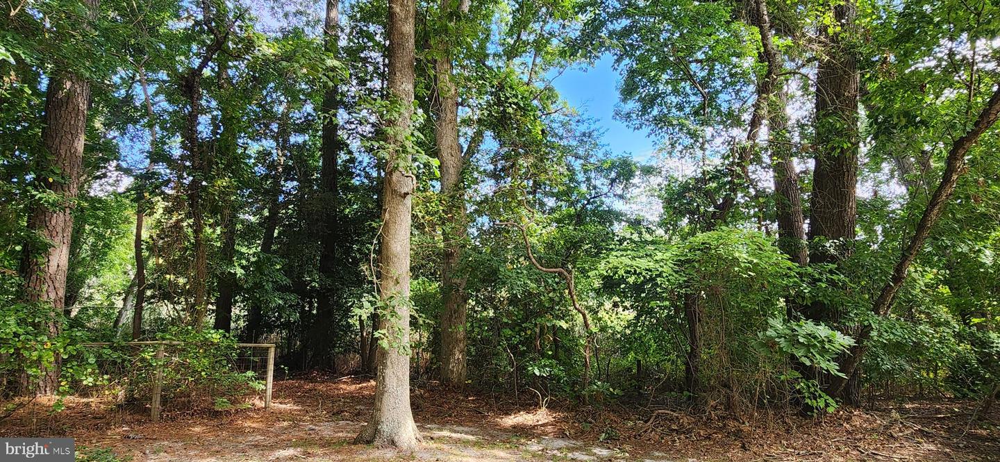 DESU2093086-804113961624-2025-08-29-17-49-43 28456 Pocahontas Ave #7531 | Millsboro, DE Real Estate For Sale | MLS# Desu2093086 - Jack Lingo REALTOR DESU2093086-804113961624-2025-08-29-17-49-43 28456 Pocahontas Ave #7531 | Millsboro, DE Real Estate For Sale | MLS# Desu2093086 - Jack Lingo REALTOR