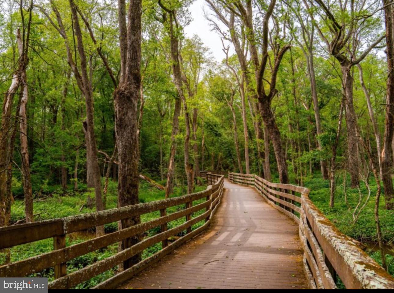 DESU2093108-804098449468-2025-08-18-22-40-56 0 Wilson Rd | Georgetown, DE Real Estate For Sale | MLS# Desu2093108 - Jack Lingo REALTOR DESU2093108-804098449468-2025-08-18-22-40-56 0 Wilson Rd | Georgetown, DE Real Estate For Sale | MLS# Desu2093108 - Jack Lingo REALTOR