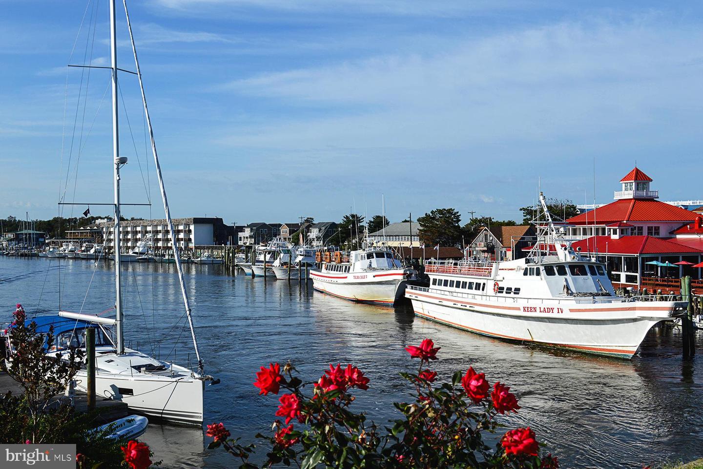 DESU2093184-804108978796-2025-10-08-13-01-00 29406 Cynthia Ln | Milton, DE Real Estate For Sale | MLS# Desu2093184  - Jack Lingo REALTOR