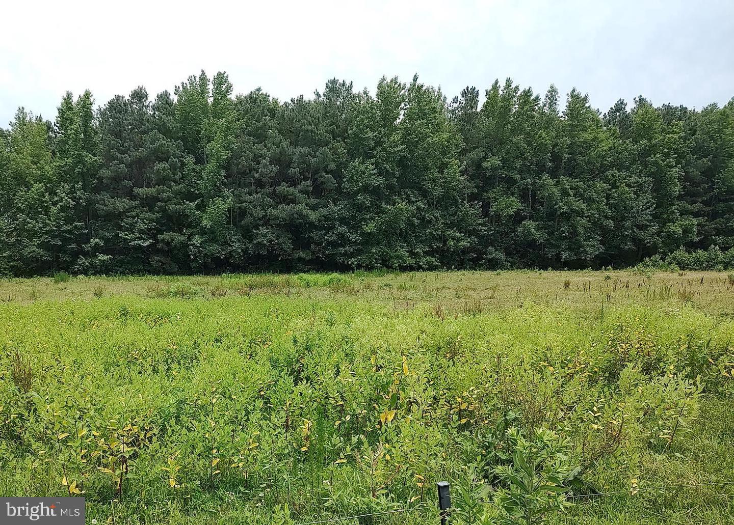 DESU2093210-804121093422-2025-08-30-00-22-01 37007 Peanut Tingle Rd | Frankford, DE Real Estate For Sale | MLS# Desu2093210  - Jack Lingo REALTOR