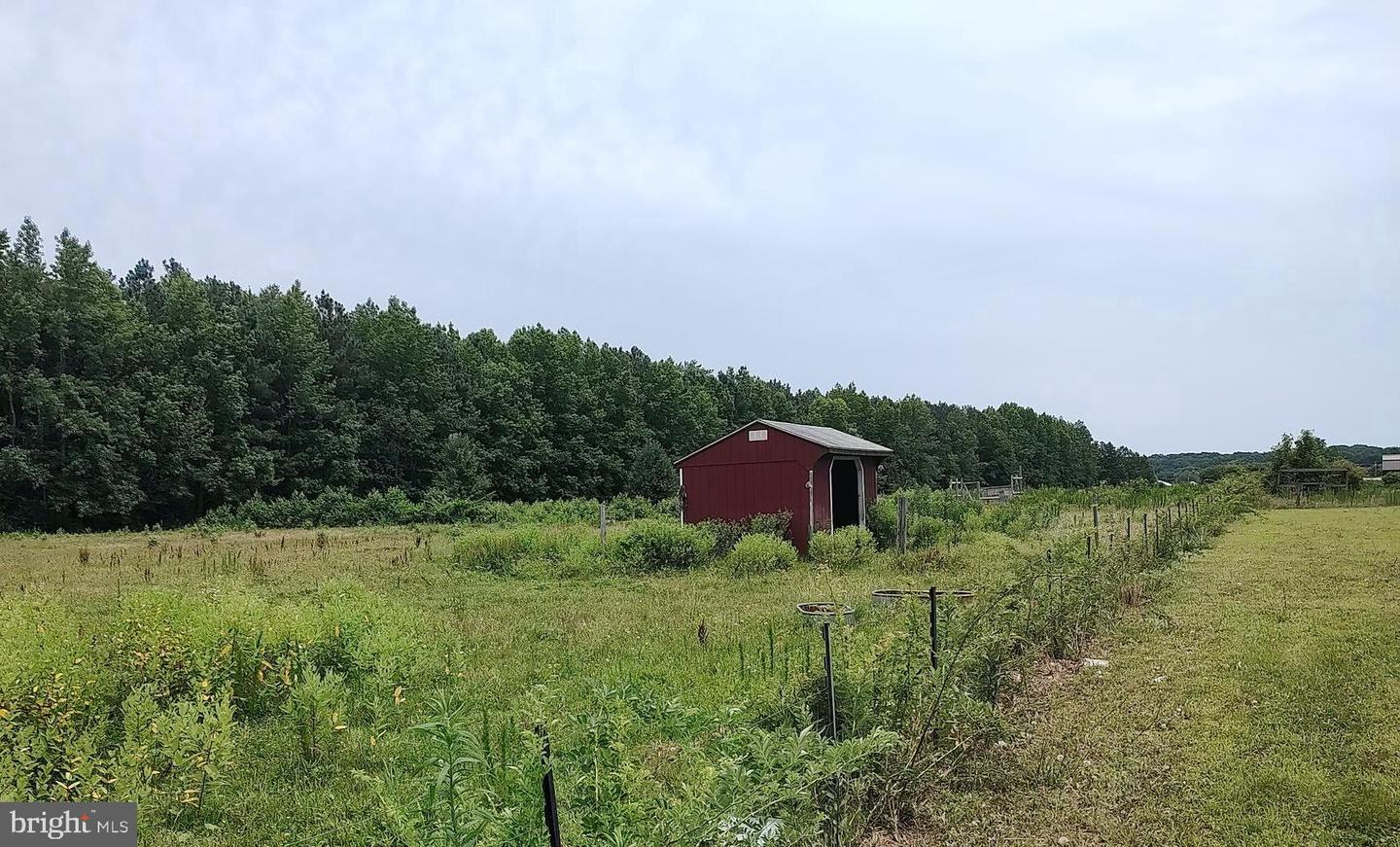 DESU2093210-804121093460-2025-08-30-00-22-01 37007 Peanut Tingle Rd | Frankford, DE Real Estate For Sale | MLS# Desu2093210  - Jack Lingo REALTOR