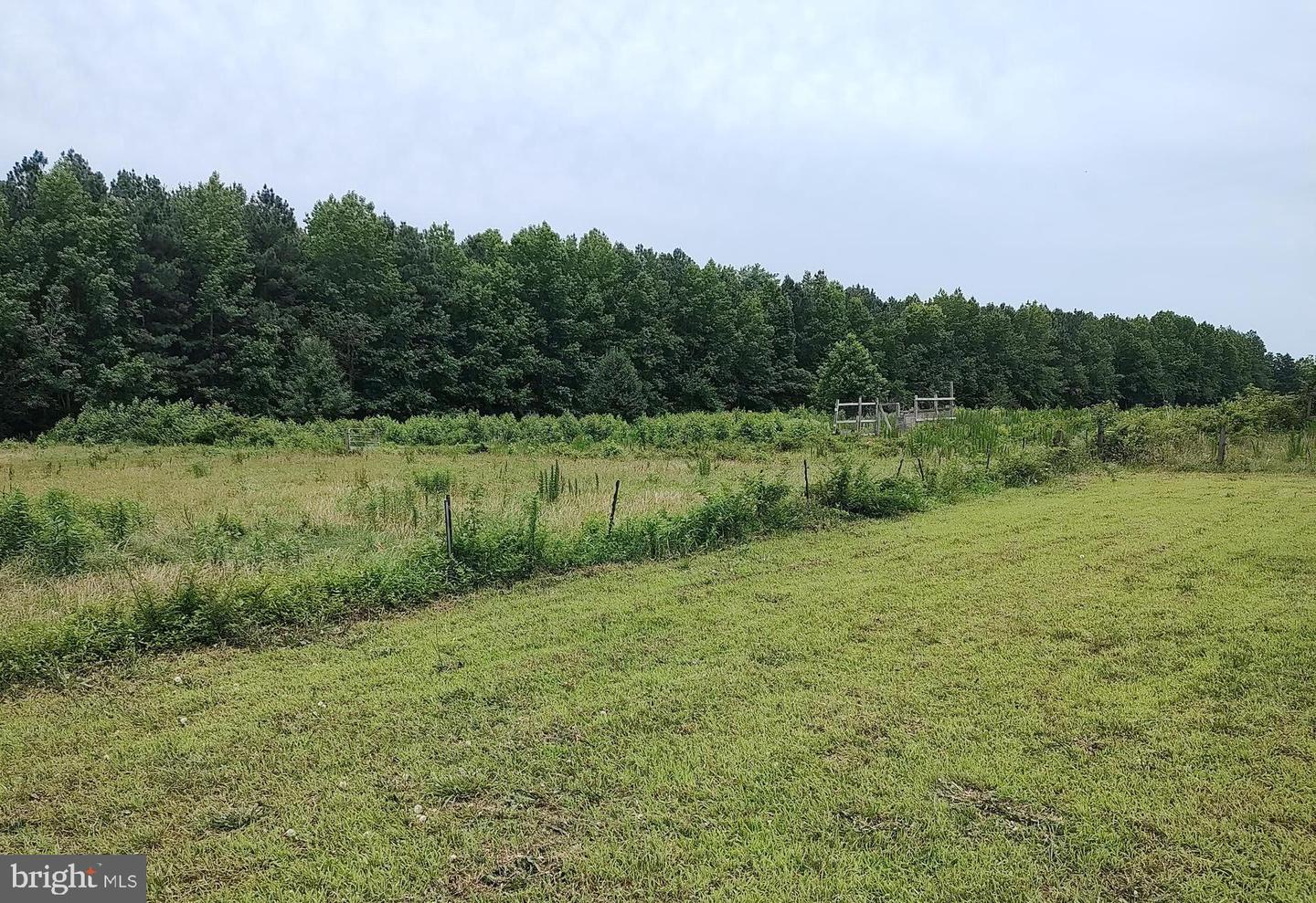 DESU2093210-804121093534-2025-08-30-00-22-01 37007 Peanut Tingle Rd | Frankford, DE Real Estate For Sale | MLS# Desu2093210  - Jack Lingo REALTOR