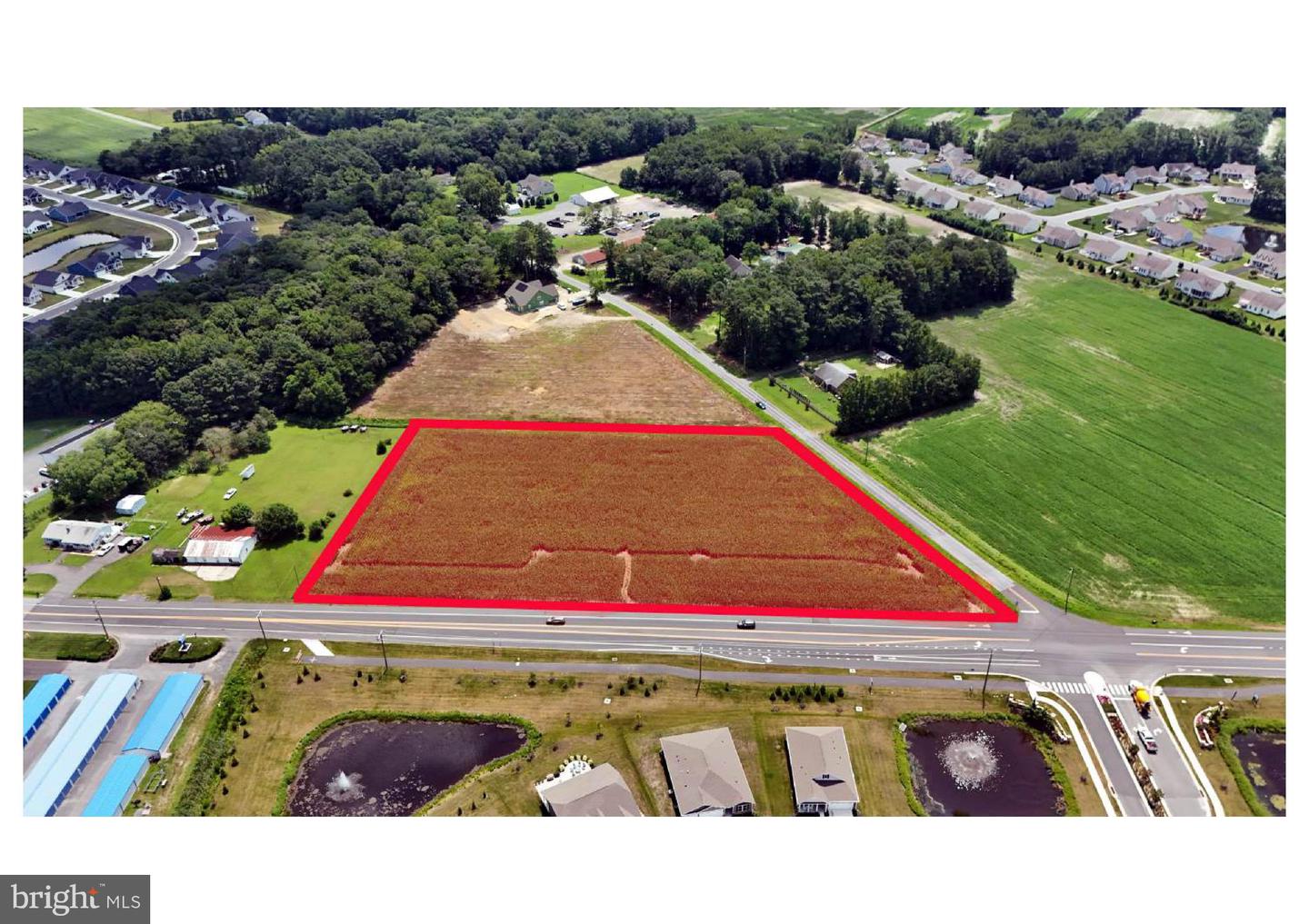 DESU2093246-804105012878-2025-08-20-14-55-26 Lighthouse | Selbyville, DE Real Estate For Sale | MLS# Desu2093246 - Jack Lingo REALTOR DESU2093246-804105012878-2025-08-20-14-55-26 Lighthouse | Selbyville, DE Real Estate For Sale | MLS# Desu2093246 - Jack Lingo REALTOR