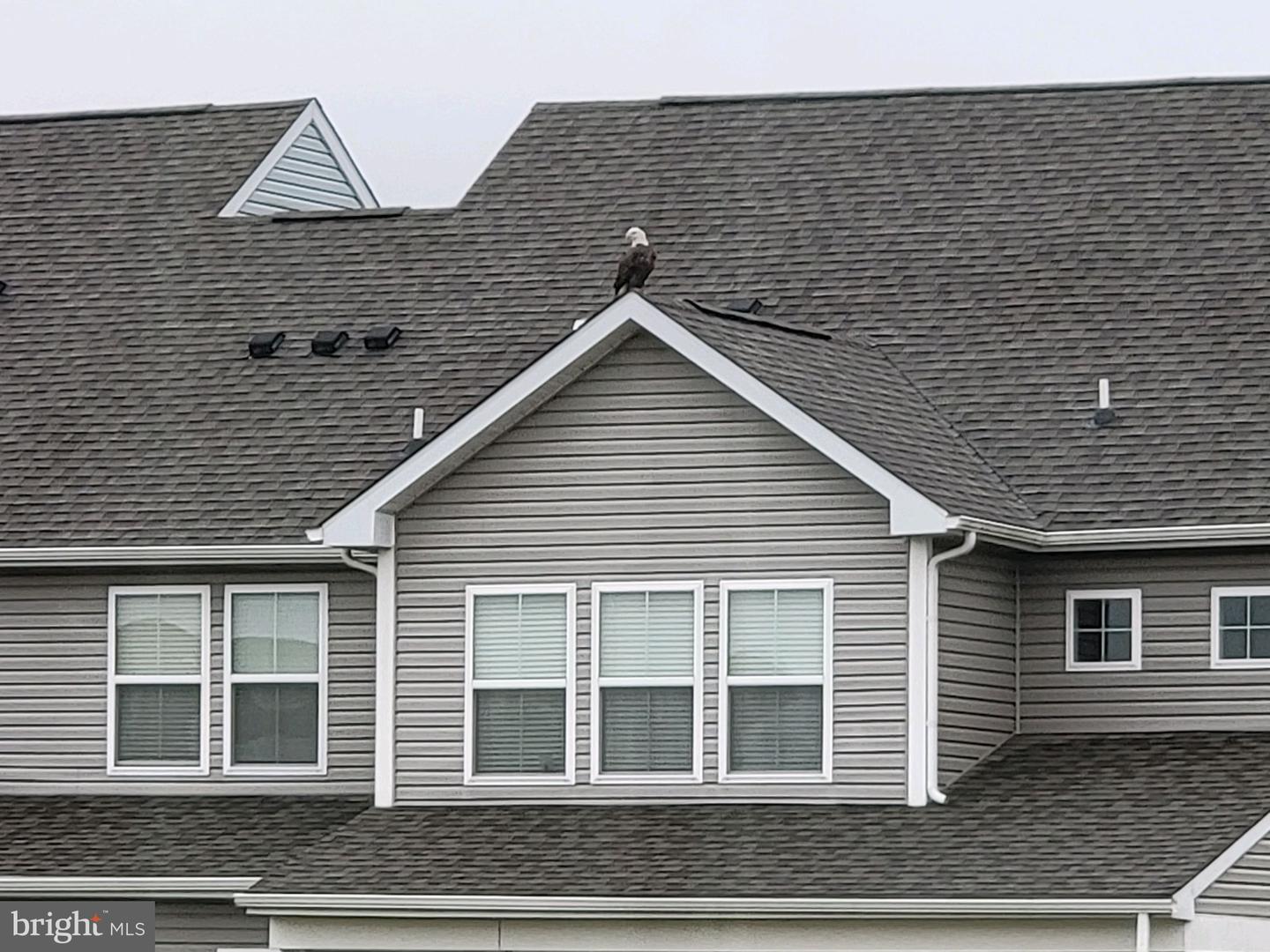 DESU2093422-804332345734-2025-11-25-19-24-58 17010 Bellevue Ct | Millville, DE Real Estate For Sale | MLS# Desu2093422 - Jack Lingo REALTOR DESU2093422-804332345734-2025-11-25-19-24-58 17010 Bellevue Ct | Millville, DE Real Estate For Sale | MLS# Desu2093422 - Jack Lingo REALTOR