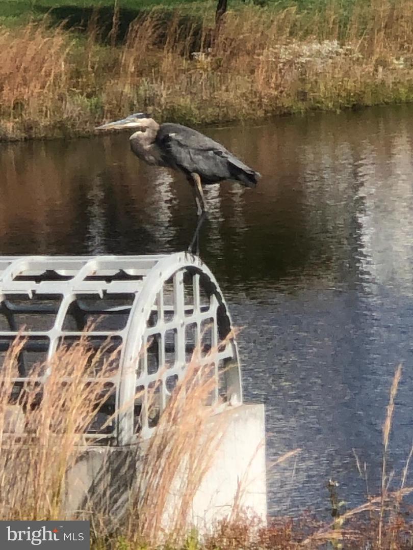 DESU2093422-804332346330-2025-11-25-19-24-57 17010 Bellevue Ct | Millville, DE Real Estate For Sale | MLS# Desu2093422 - Jack Lingo REALTOR DESU2093422-804332346330-2025-11-25-19-24-57 17010 Bellevue Ct | Millville, DE Real Estate For Sale | MLS# Desu2093422 - Jack Lingo REALTOR