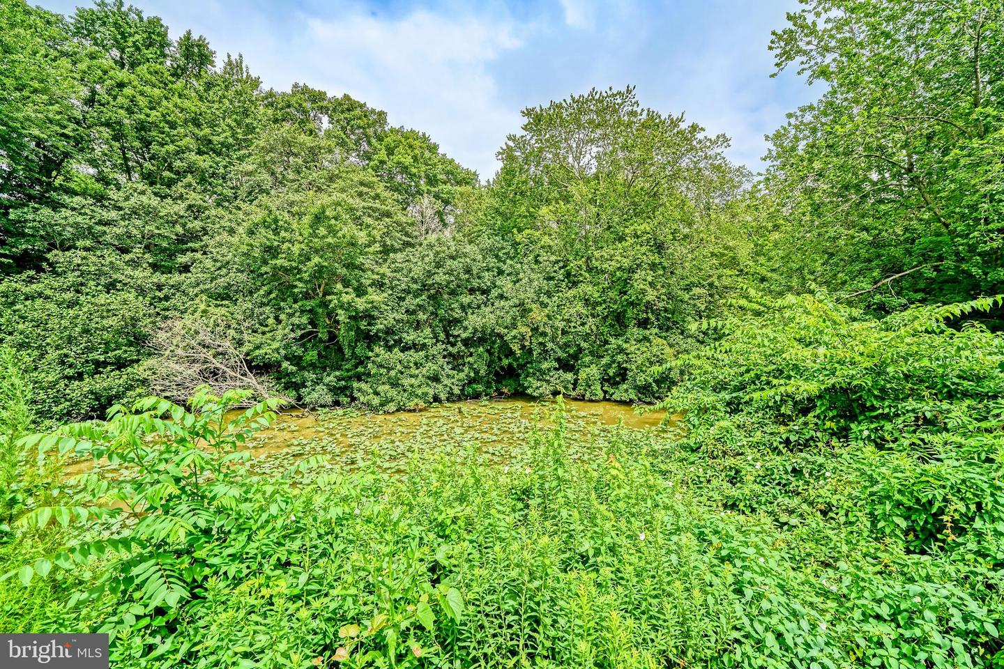 DESU2095362-804116762358-2025-09-05-16-51-52 29608 Riverstone Dr | Milton, DE Real Estate For Sale | MLS# Desu2095362  - Jack Lingo REALTOR DESU2095362-804116762358-2025-09-05-16-51-52 29608 Riverstone Dr | Milton, DE Real Estate For Sale | MLS# Desu2095362  - Jack Lingo REALTOR