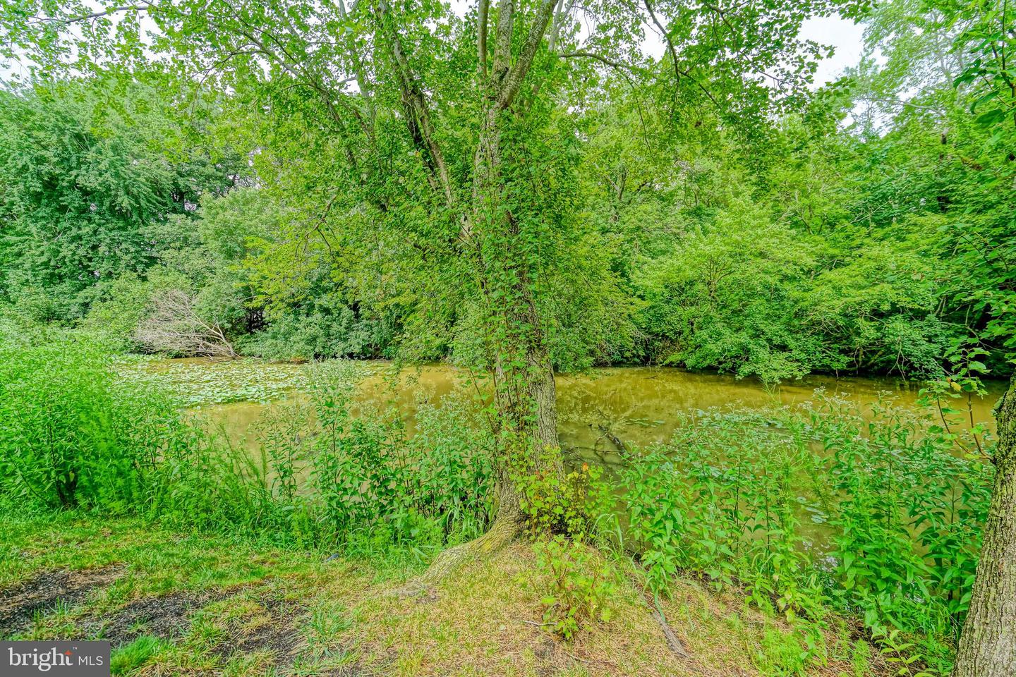 DESU2095362-804116762384-2025-09-05-16-51-51 29608 Riverstone Dr | Milton, DE Real Estate For Sale | MLS# Desu2095362  - Jack Lingo REALTOR DESU2095362-804116762384-2025-09-05-16-51-51 29608 Riverstone Dr | Milton, DE Real Estate For Sale | MLS# Desu2095362  - Jack Lingo REALTOR
