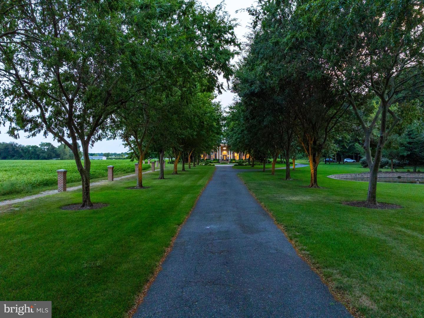 DESU2095394-804164270592-2025-10-15-14-42-40 20459 Troyer Ln | Lincoln, DE Real Estate For Sale | MLS# Desu2095394  - Jack Lingo REALTOR DESU2095394-804164270592-2025-10-15-14-42-40 20459 Troyer Ln | Lincoln, DE Real Estate For Sale | MLS# Desu2095394  - Jack Lingo REALTOR