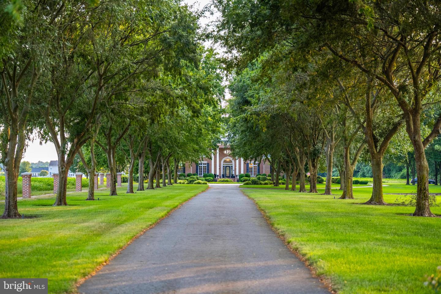 DESU2095394-804164271132-2025-10-15-14-42-39 20459 Troyer Ln | Lincoln, DE Real Estate For Sale | MLS# Desu2095394  - Jack Lingo REALTOR DESU2095394-804164271132-2025-10-15-14-42-39 20459 Troyer Ln | Lincoln, DE Real Estate For Sale | MLS# Desu2095394  - Jack Lingo REALTOR