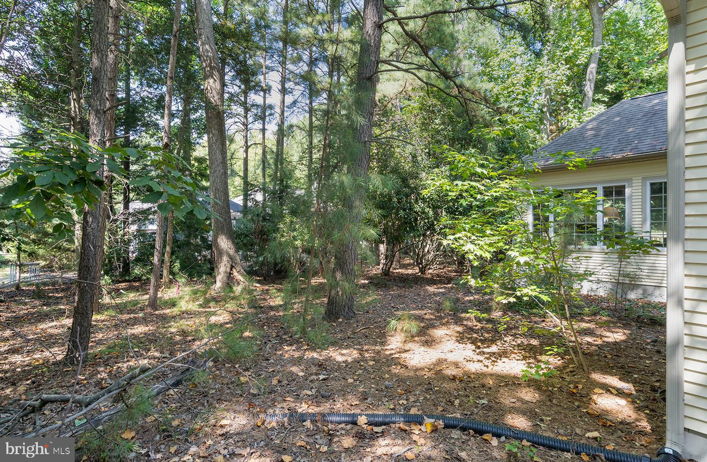 DESU2095500-804144178242-2025-09-06-12-39-04 46 Bay Reach | Rehoboth Beach, DE Real Estate For Sale | MLS# Desu2095500  - Jack Lingo REALTOR