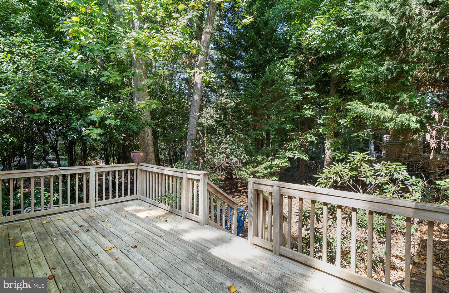 DESU2095500-804144182268-2025-09-06-12-39-05 46 Bay Reach | Rehoboth Beach, DE Real Estate For Sale | MLS# Desu2095500  - Jack Lingo REALTOR