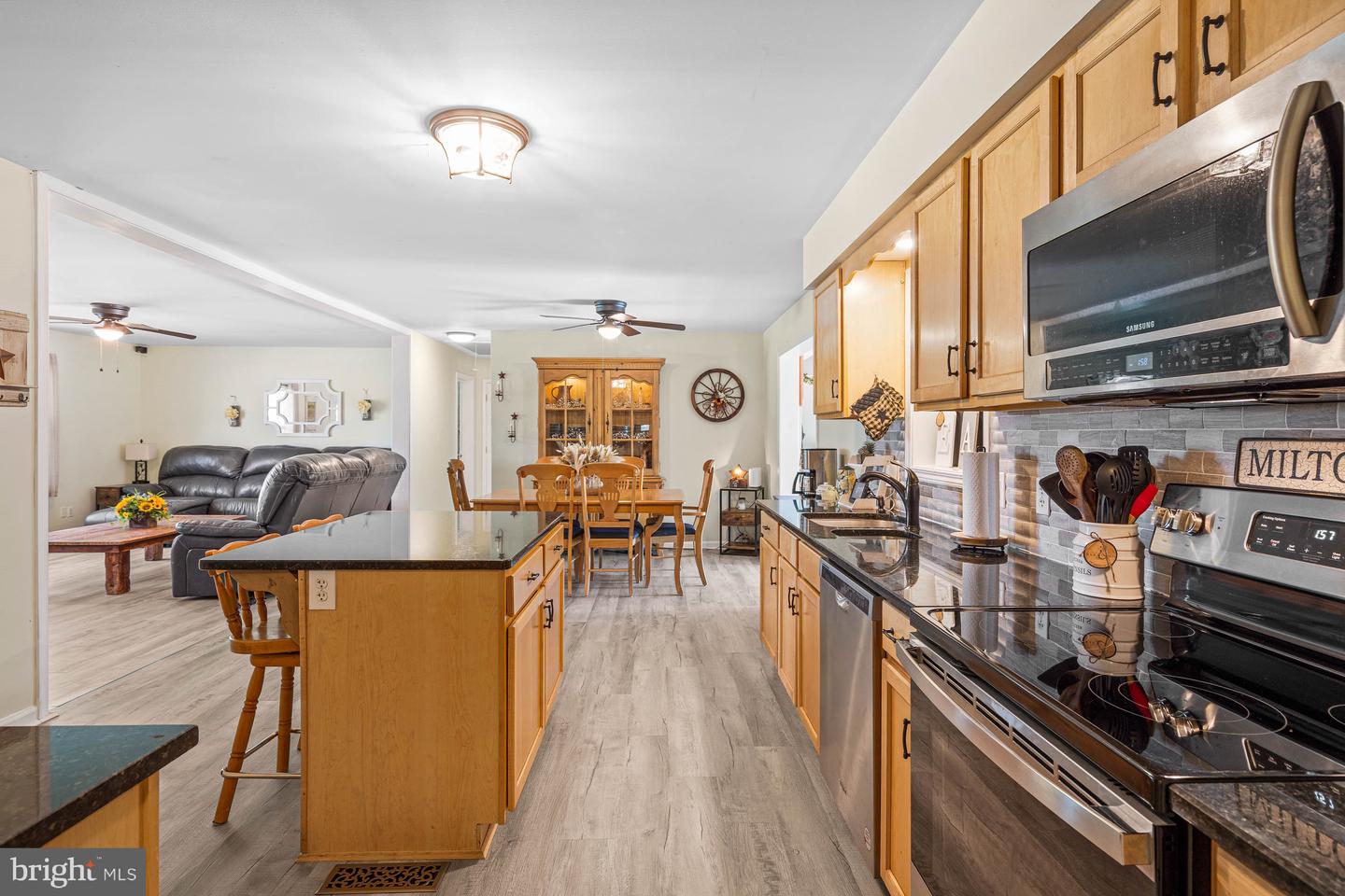 DESU2095582-804123077638-2025-08-28-10-00-31 207 E Gemini Ln | Milton, DE Real Estate For Sale | MLS# Desu2095582  - Jack Lingo REALTOR
