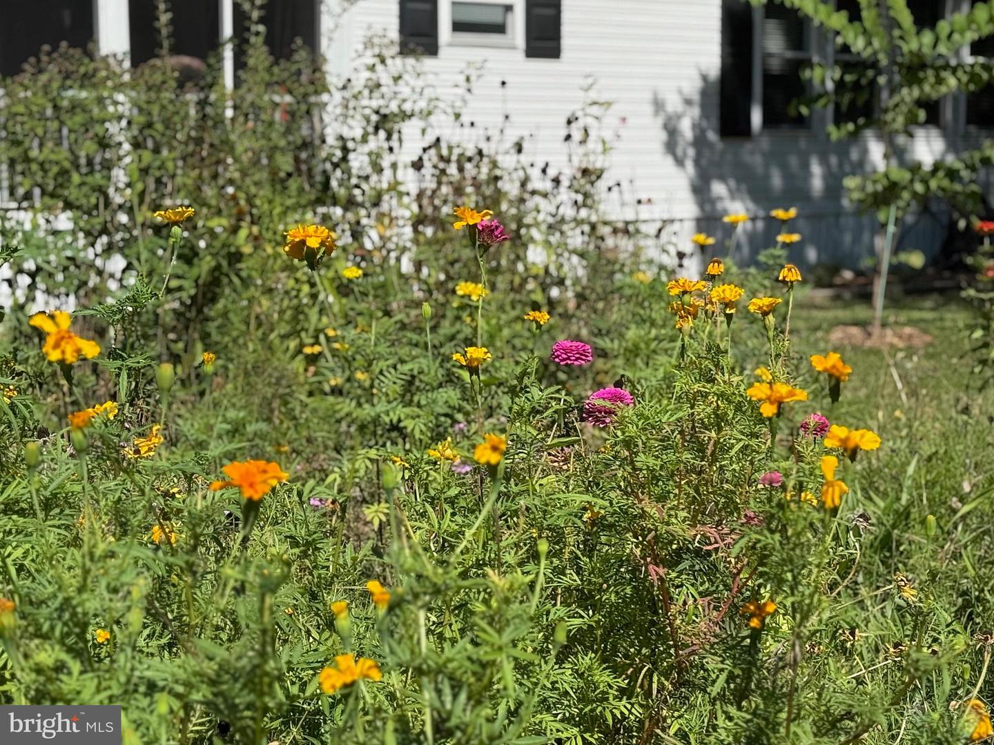 DESU2095732-804150888374-2025-09-08-16-23-35 33280 Sassafras Ct | Ocean View, DE Real Estate For Sale | MLS# Desu2095732  - Jack Lingo REALTOR