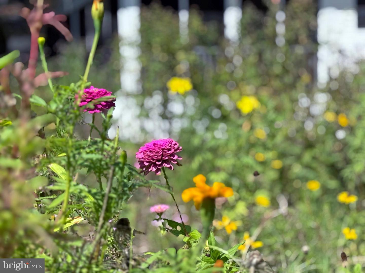 DESU2095732-804150888476-2025-09-08-16-23-34 33280 Sassafras Ct | Ocean View, DE Real Estate For Sale | MLS# Desu2095732  - Jack Lingo REALTOR