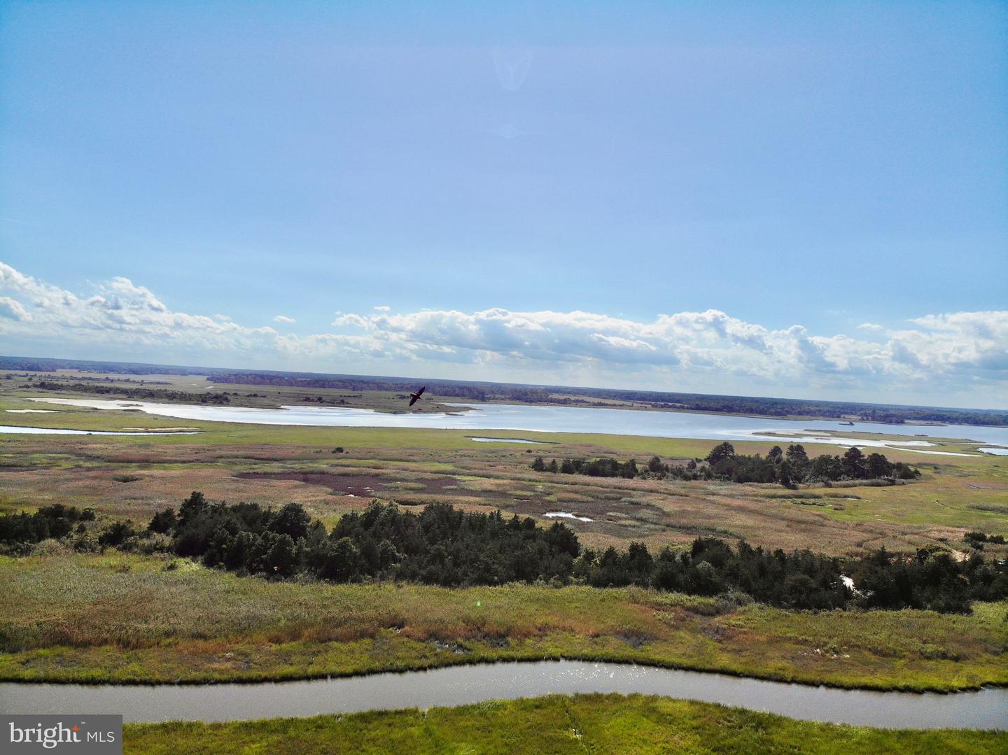 DESU2095768-804138706858-2025-10-11-18-33-21 106 N Carolina Ave | Milton, DE Real Estate For Sale | MLS# Desu2095768 - Jack Lingo REALTOR DESU2095768-804138706858-2025-10-11-18-33-21 106 N Carolina Ave | Milton, DE Real Estate For Sale | MLS# Desu2095768 - Jack Lingo REALTOR