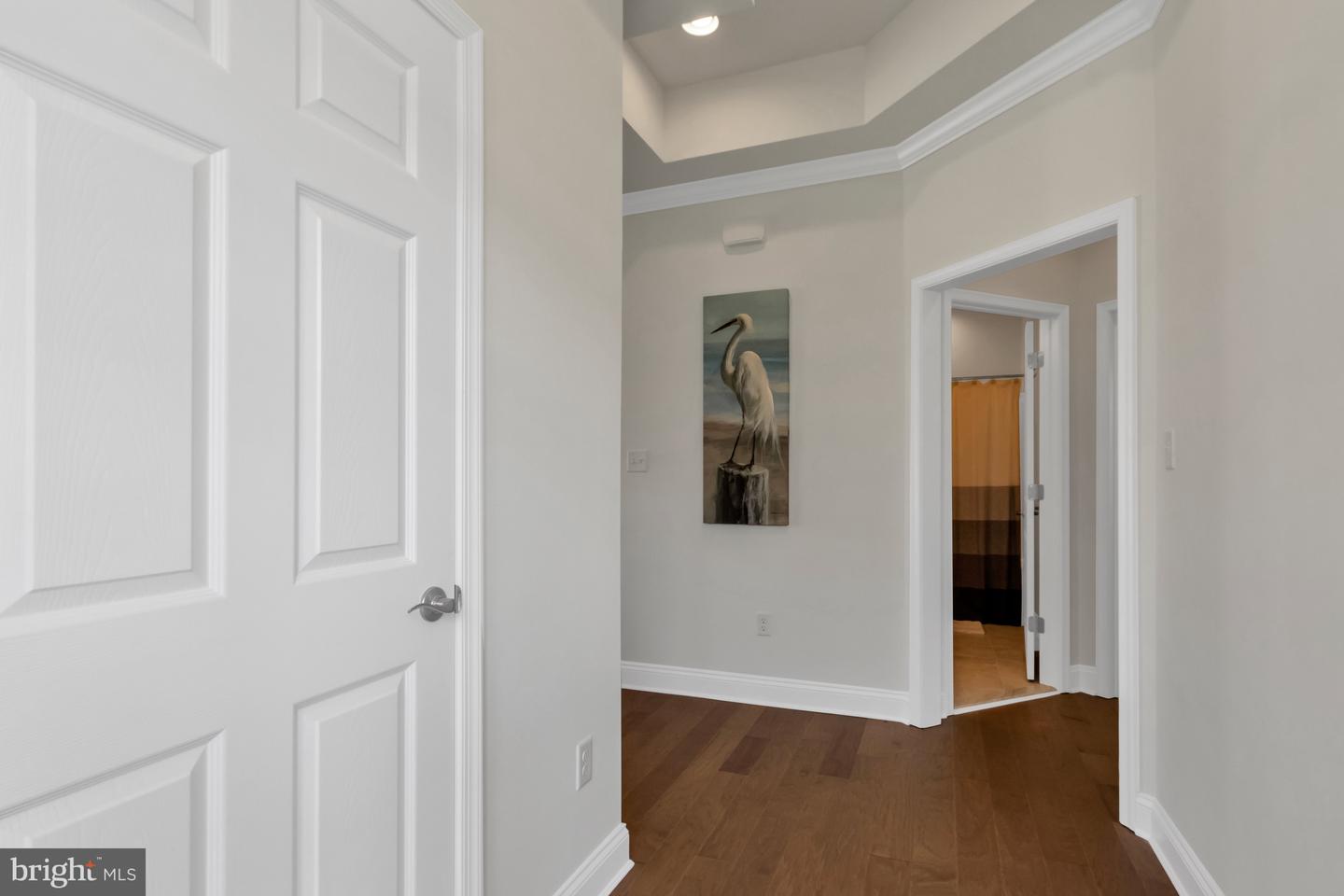DESU2095802-804148111224-2025-09-07-12-46-35 29555 Tree Swallow Dr | Millsboro, DE Real Estate For Sale | MLS# Desu2095802  - Jack Lingo REALTOR
