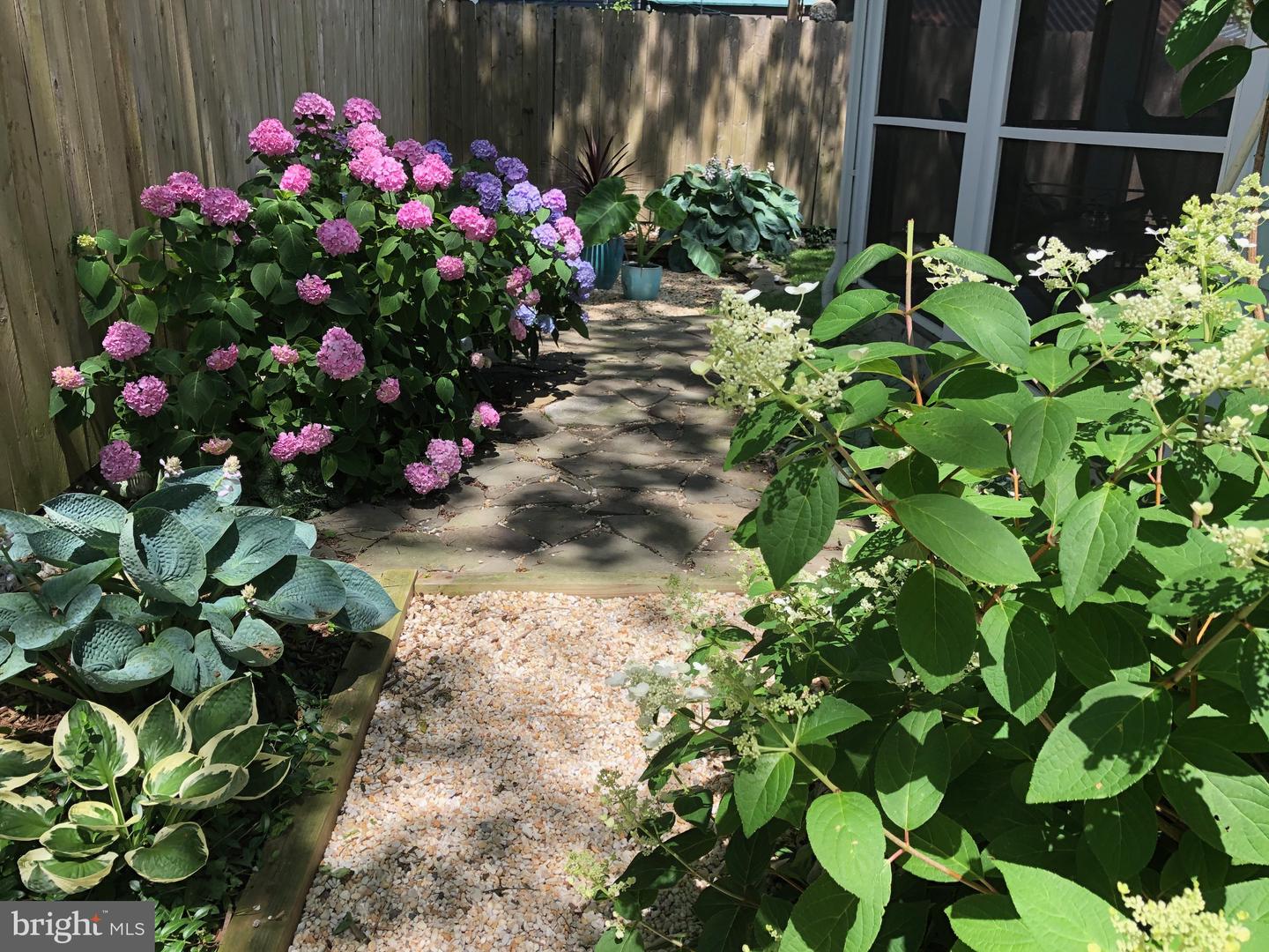 DESU2095824-804152932112-2025-09-09-12-38-42 314 Chestnut St #b | Lewes, DE Real Estate For Sale | MLS# Desu2095824  - Jack Lingo REALTOR
