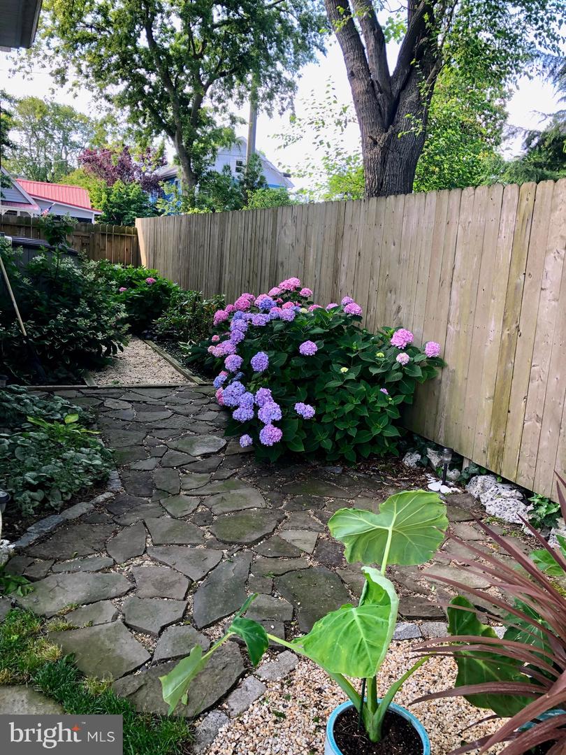 DESU2095824-804152932498-2025-09-09-12-38-42 314 Chestnut St #b | Lewes, DE Real Estate For Sale | MLS# Desu2095824  - Jack Lingo REALTOR
