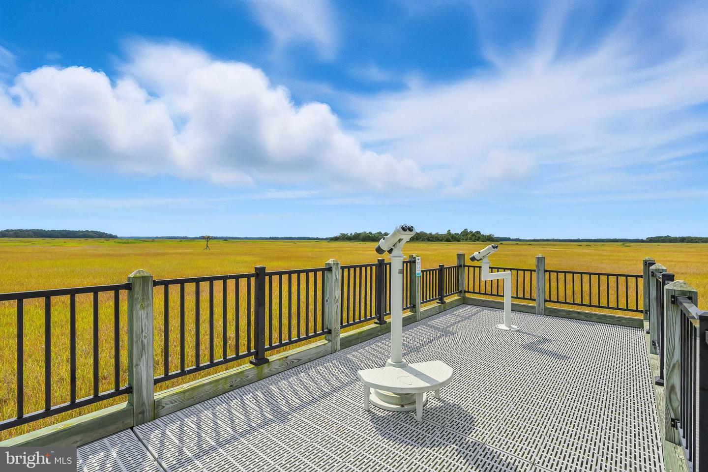 DESU2095844-804136907636-2025-09-03-15-47-19 549 Bay Avenue | Milford, DE Real Estate For Sale | MLS# Desu2095844  - Jack Lingo REALTOR