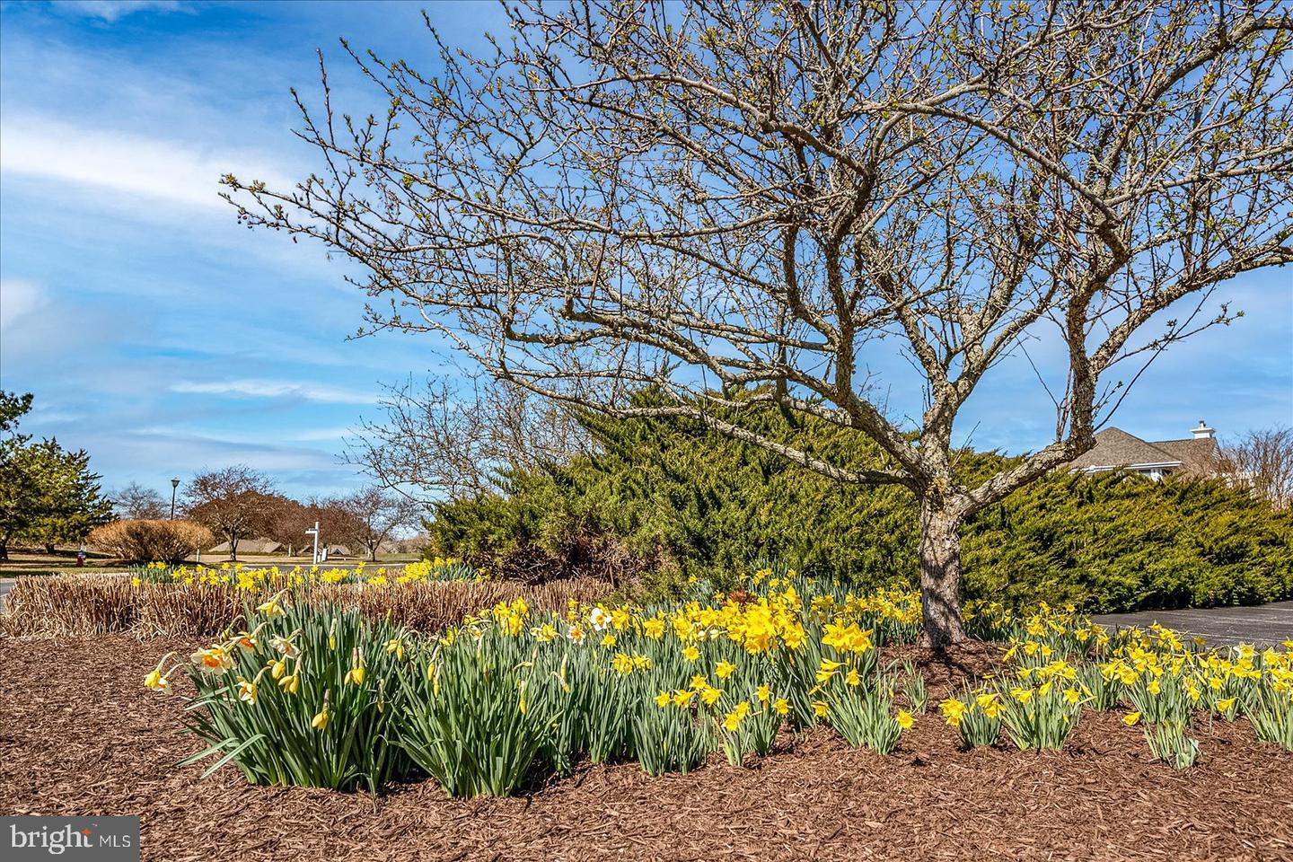 DESU2095858-804133463506-2025-09-26-06-06-27 30469 Shore Ln #32 | Ocean View, DE Real Estate For Sale | MLS# Desu2095858 - Jack Lingo REALTOR DESU2095858-804133463506-2025-09-26-06-06-27 30469 Shore Ln #32 | Ocean View, DE Real Estate For Sale | MLS# Desu2095858 - Jack Lingo REALTOR