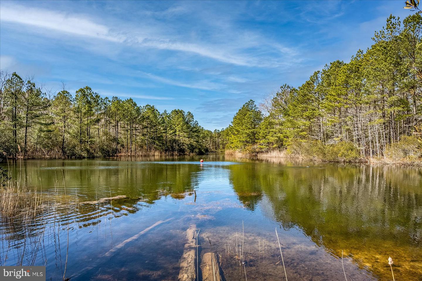 DESU2095858-804133463518-2025-09-26-06-06-27 30469 Shore Ln #32 | Ocean View, DE Real Estate For Sale | MLS# Desu2095858 - Jack Lingo REALTOR DESU2095858-804133463518-2025-09-26-06-06-27 30469 Shore Ln #32 | Ocean View, DE Real Estate For Sale | MLS# Desu2095858 - Jack Lingo REALTOR