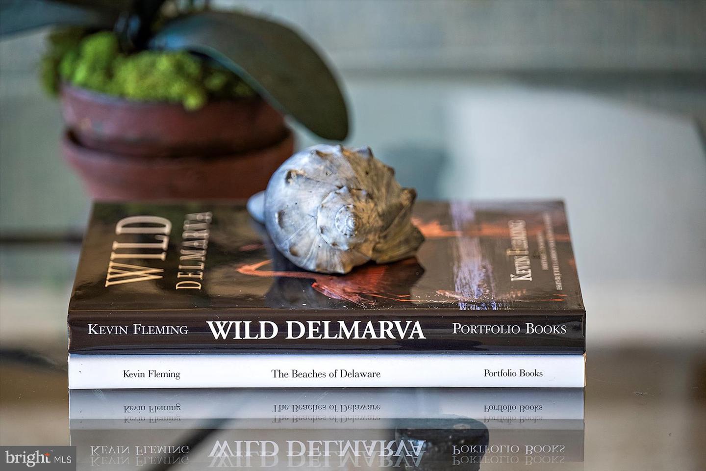 DESU2095968-804166778558-2025-10-31-14-36-38 38389 F Benson St #15 | Rehoboth Beach, DE Real Estate For Sale | MLS# Desu2095968  - Jack Lingo REALTOR