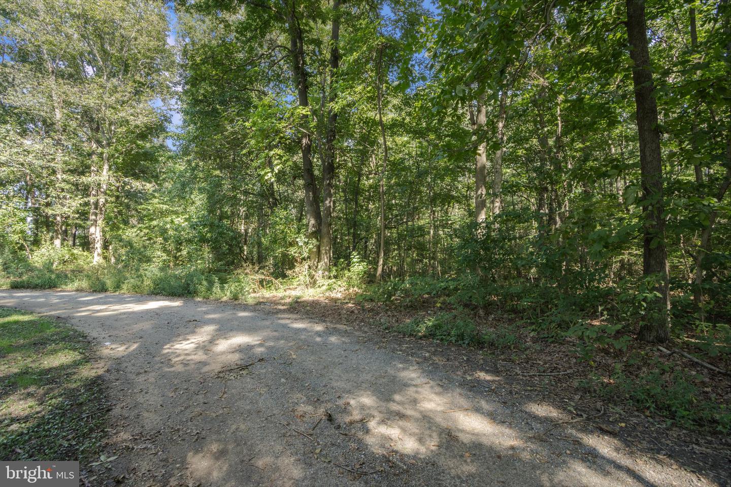 DESU2096060-804186706982-2025-09-25-16-19-29 Lot 1 Watson Dr | Milford, DE Real Estate For Sale | MLS# Desu2096060  - Jack Lingo REALTOR