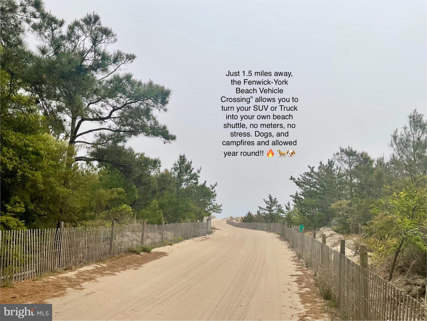 DESU2096148-804147768956-2025-09-07-07-41-39 148 Layton Dr | Bethany Beach, DE Real Estate For Sale | MLS# Desu2096148  - Jack Lingo REALTOR