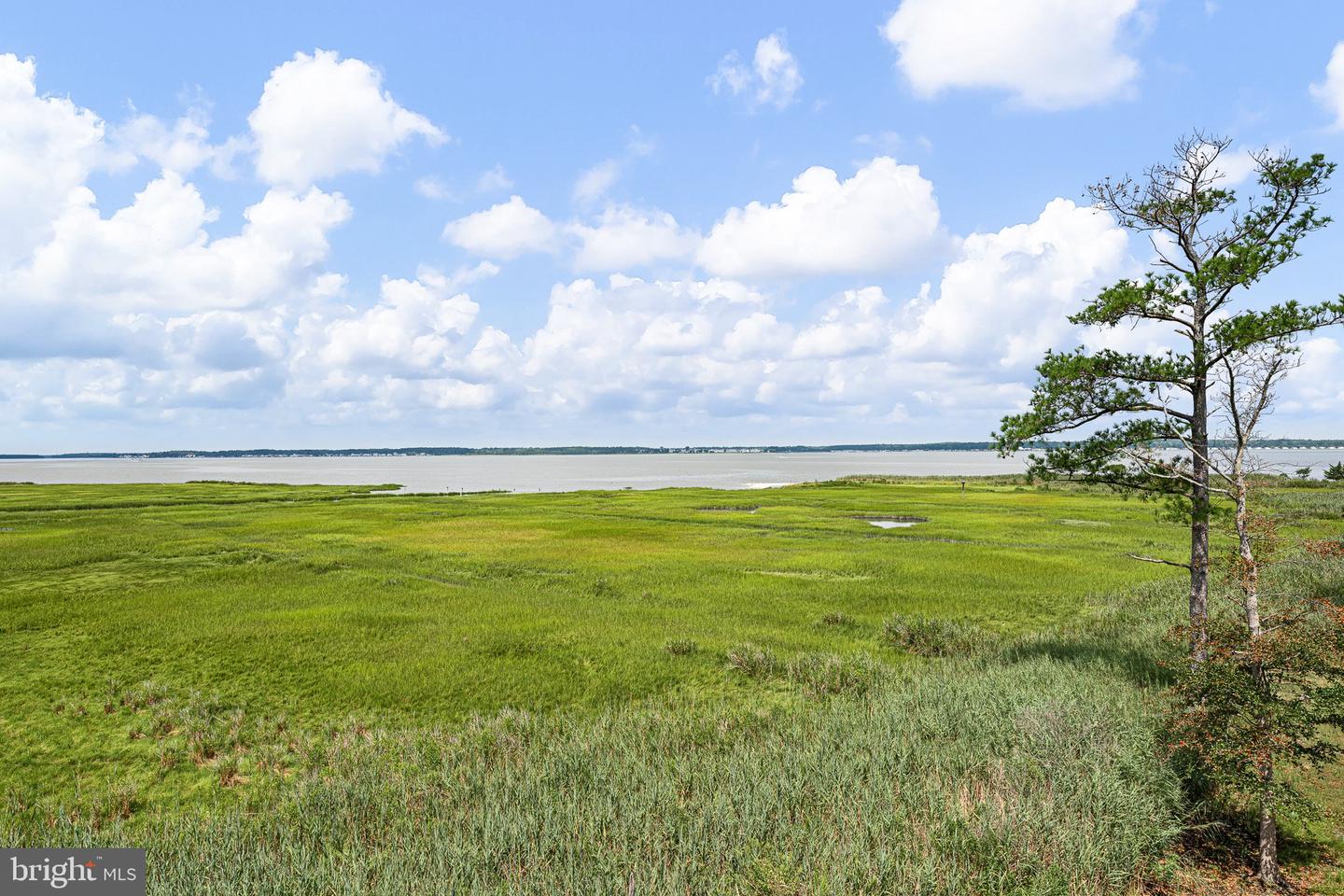 DESU2096204-804147756458-2025-09-12-00-19-04 29039 Ellis Point Ct | Dagsboro, DE Real Estate For Sale | MLS# Desu2096204  - Jack Lingo REALTOR