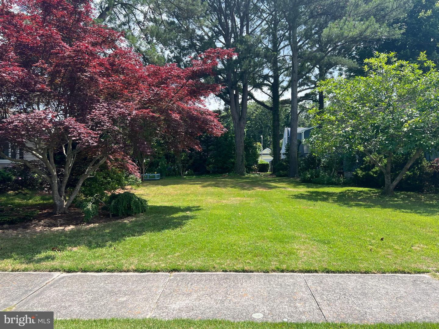 DESU2096498-804158888050-2025-09-11-10-32-26 328 Laurel St St | Rehoboth Beach, DE Real Estate For Sale | MLS# Desu2096498  - Jack Lingo REALTOR