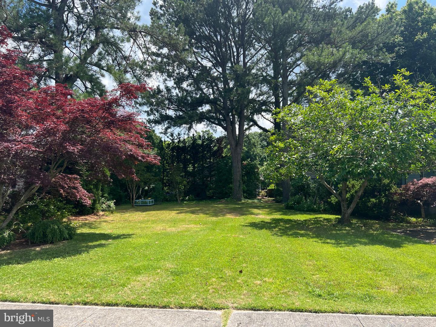 DESU2096498-804158888062-2025-09-11-10-32-27 328 Laurel St St | Rehoboth Beach, DE Real Estate For Sale | MLS# Desu2096498  - Jack Lingo REALTOR