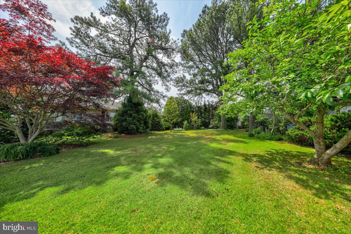 DESU2096498-804158888170-2025-09-11-10-32-27 328 Laurel St St | Rehoboth Beach, DE Real Estate For Sale | MLS# Desu2096498  - Jack Lingo REALTOR