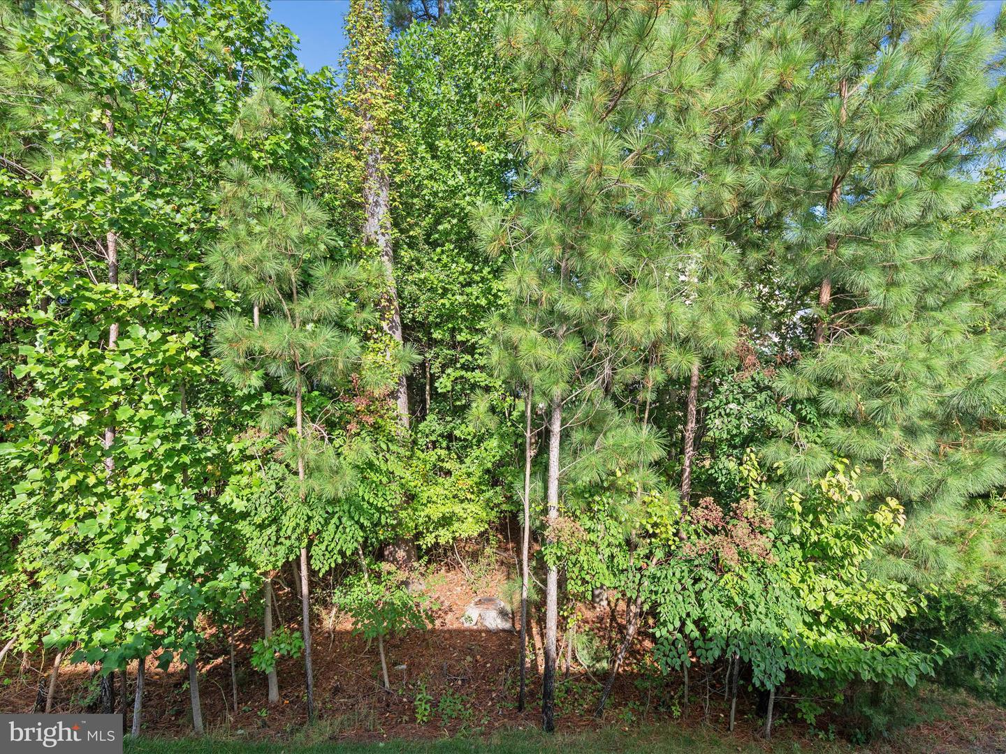 DESU2096538-804160283974-2026-04-13-09-40-05 22198 Dune Cir | Millsboro, DE Real Estate For Sale | MLS# Desu2096538 - Jack Lingo REALTOR DESU2096538-804160283974-2026-04-13-09-40-05 22198 Dune Cir | Millsboro, DE Real Estate For Sale | MLS# Desu2096538 - Jack Lingo REALTOR