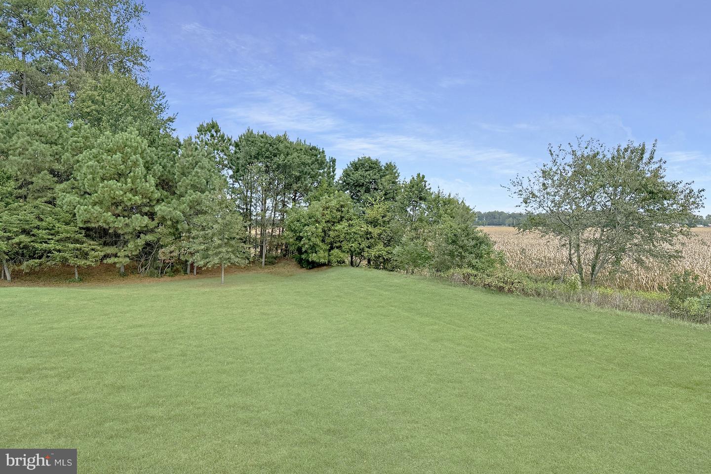 DESU2096550-804217254952-2025-10-06-13-53-44 15217 Autumn Oaks Dr | Milton, DE Real Estate For Sale | MLS# Desu2096550  - Jack Lingo REALTOR