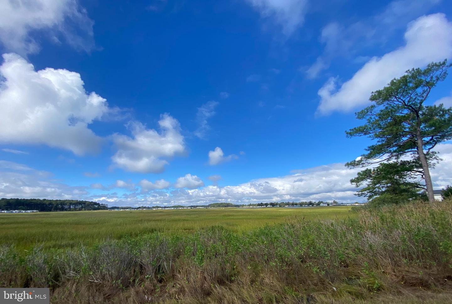 DESU2096720-804178362532-2025-09-18-13-59-07 26406 Pine Cone Drive #155 | Long Neck, DE Real Estate For Sale | MLS# Desu2096720  - Jack Lingo REALTOR