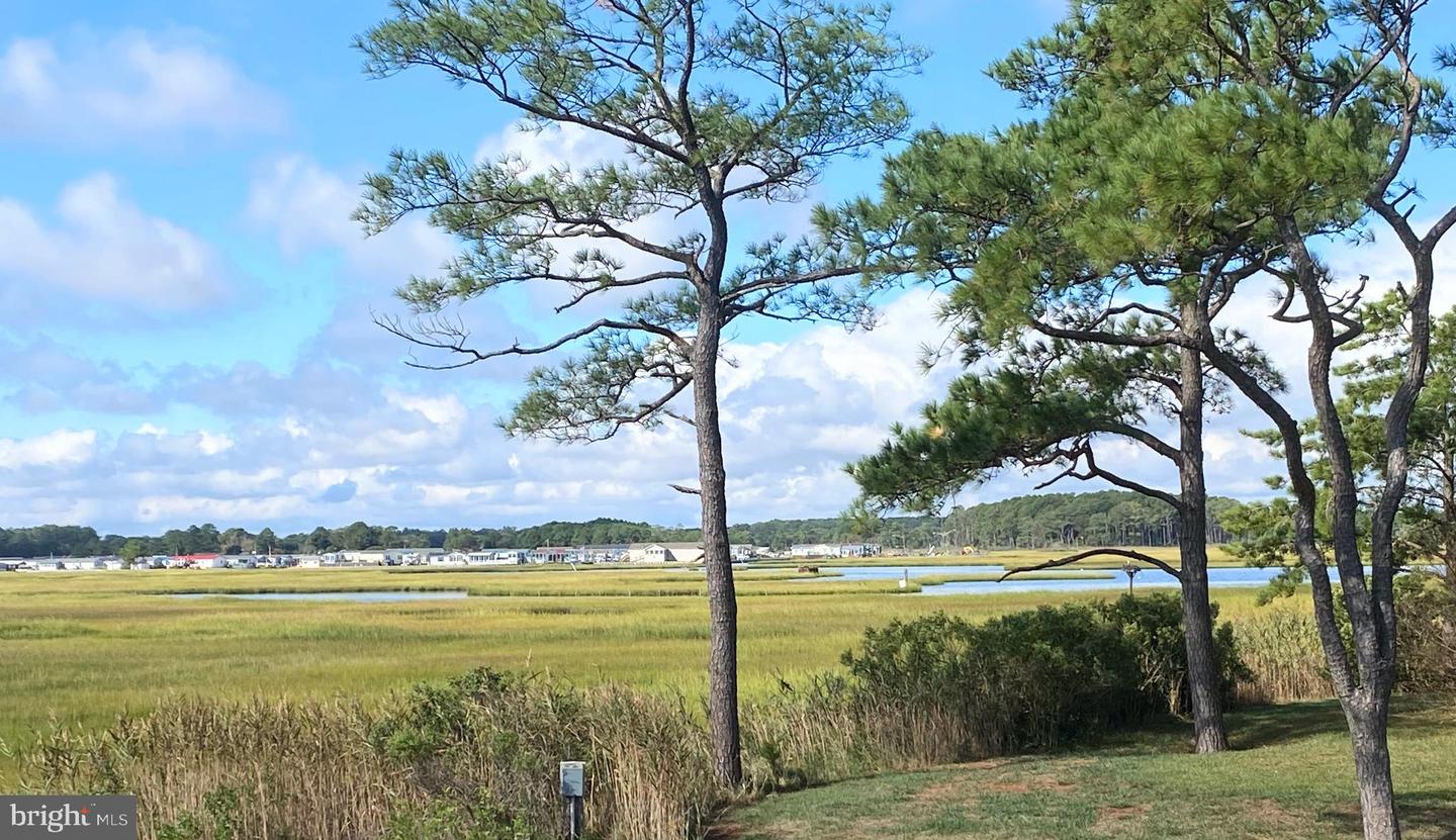 DESU2096720-804178364360-2025-09-18-13-51-18 26406 Pine Cone Drive #155 | Long Neck, DE Real Estate For Sale | MLS# Desu2096720  - Jack Lingo REALTOR