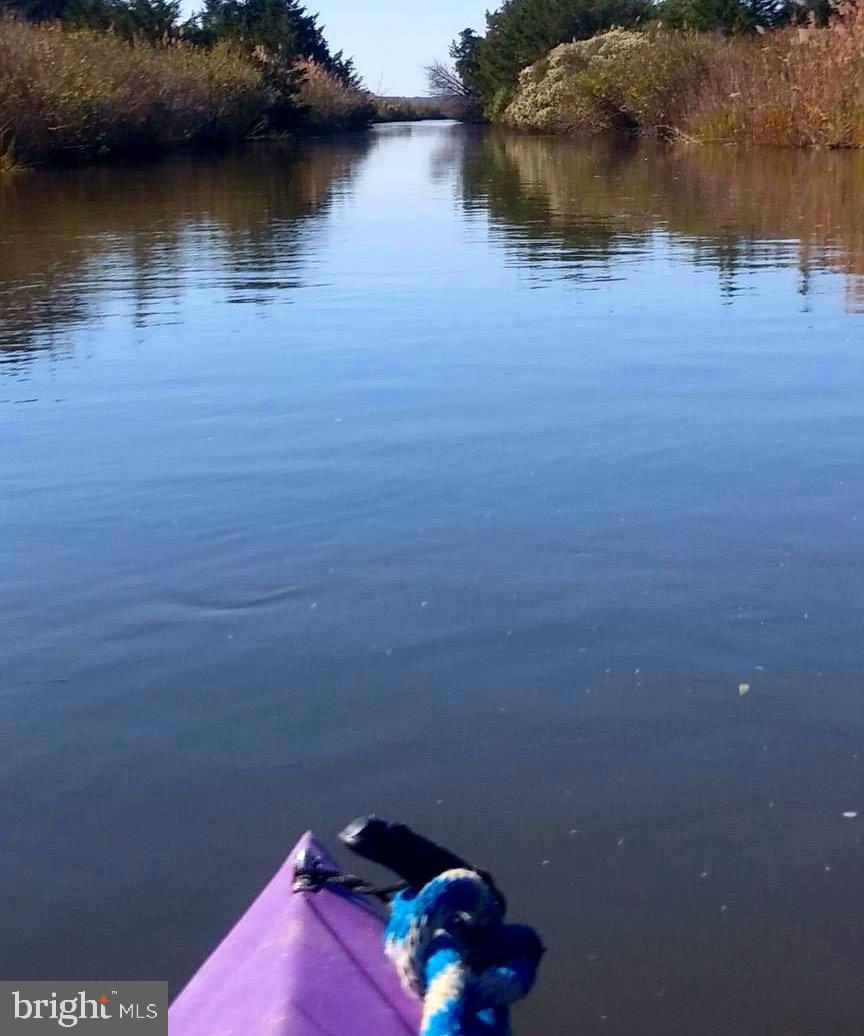 DESU2096874-804188364620-2026-03-14-10-46-56 2813 S S. Bayshore Drive Dr | Milton, DE Real Estate For Sale | MLS# Desu2096874  - Jack Lingo REALTOR