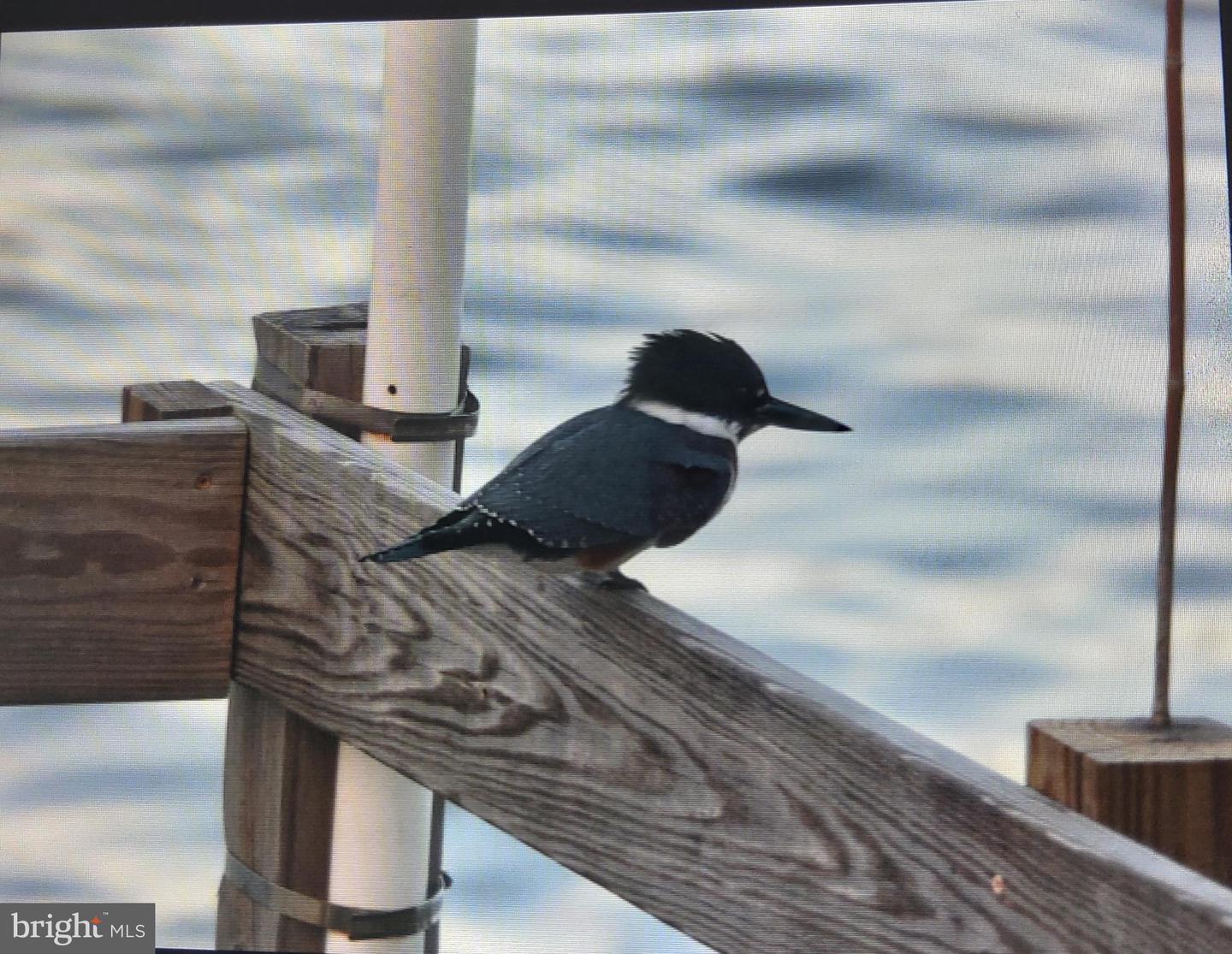 DESU2096874-804188364628-2026-03-14-10-46-56 2813 S S. Bayshore Drive Dr | Milton, DE Real Estate For Sale | MLS# Desu2096874  - Jack Lingo REALTOR