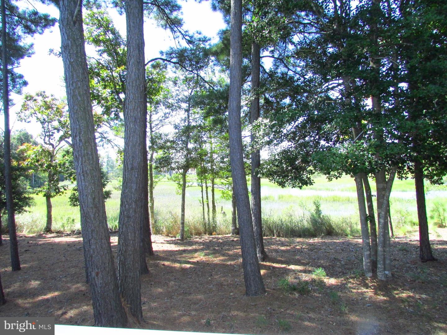 DESU2096878-804174282462-2026-03-05-10-18-03 30671 Kingbird Ct | Ocean View, DE Real Estate For Sale | MLS# Desu2096878 - Jack Lingo REALTOR DESU2096878-804174282462-2026-03-05-10-18-03 30671 Kingbird Ct | Ocean View, DE Real Estate For Sale | MLS# Desu2096878 - Jack Lingo REALTOR