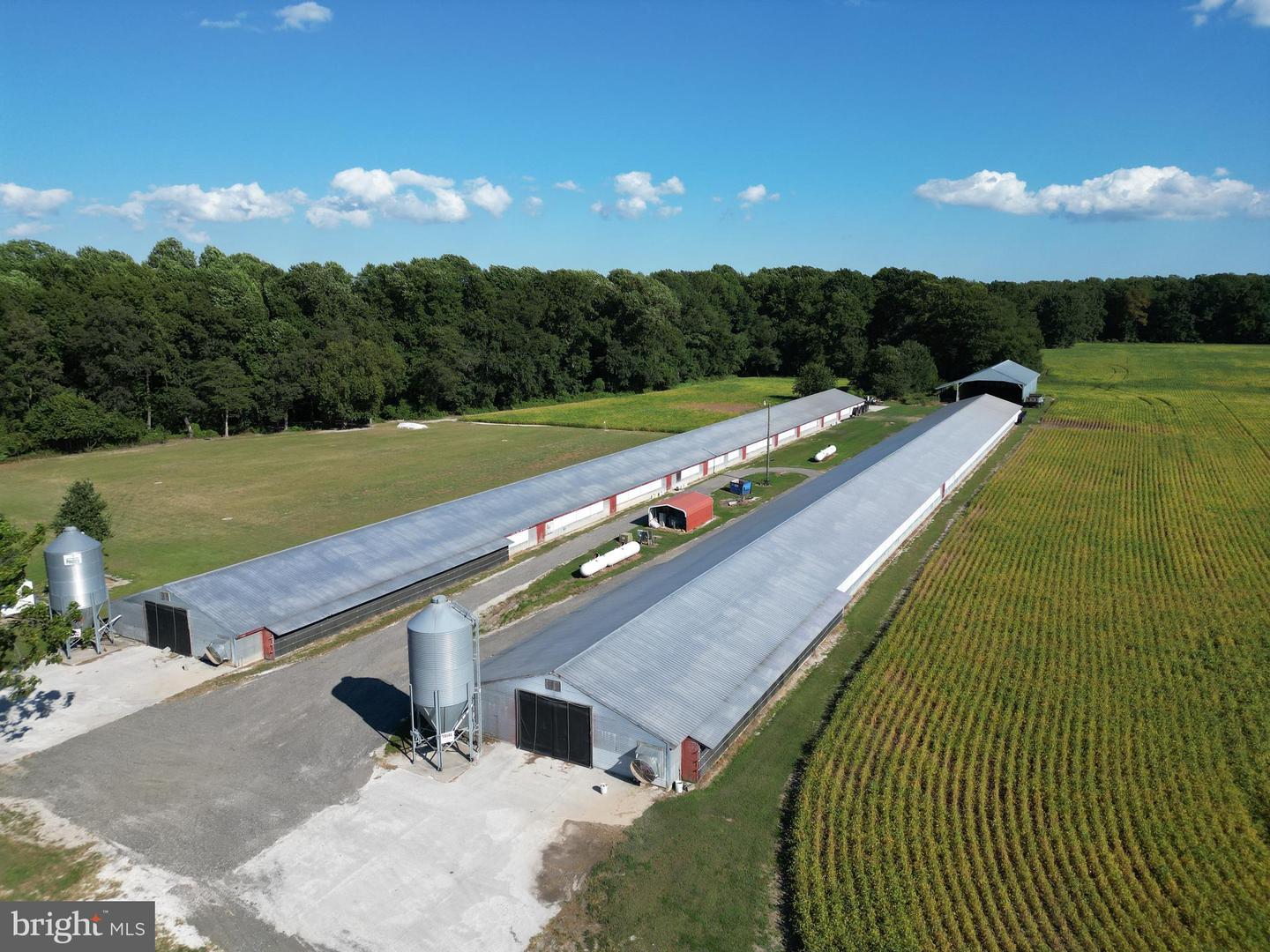 DESU2096958-804177171766-2025-09-18-10-22-00 4070 Woodpecker Rd | Seaford, DE Real Estate For Sale | MLS# Desu2096958  - Jack Lingo REALTOR