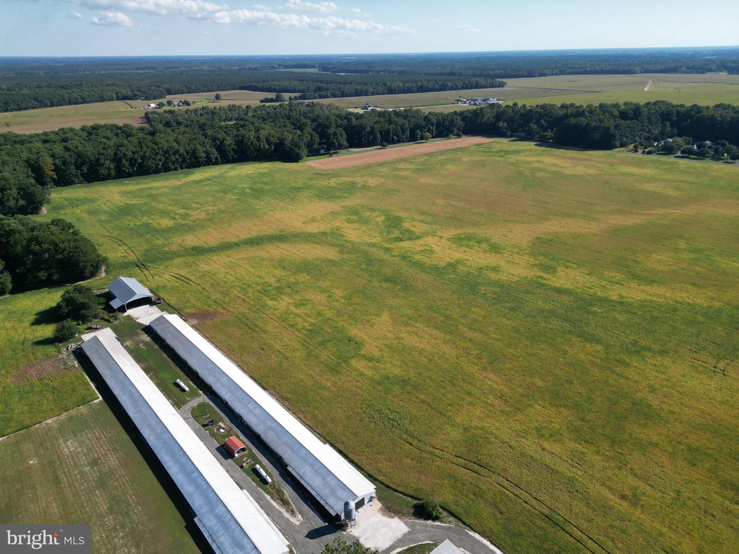 DESU2096958-804177172094-2025-09-18-10-22-00 4070 Woodpecker Rd | Seaford, DE Real Estate For Sale | MLS# Desu2096958  - Jack Lingo REALTOR