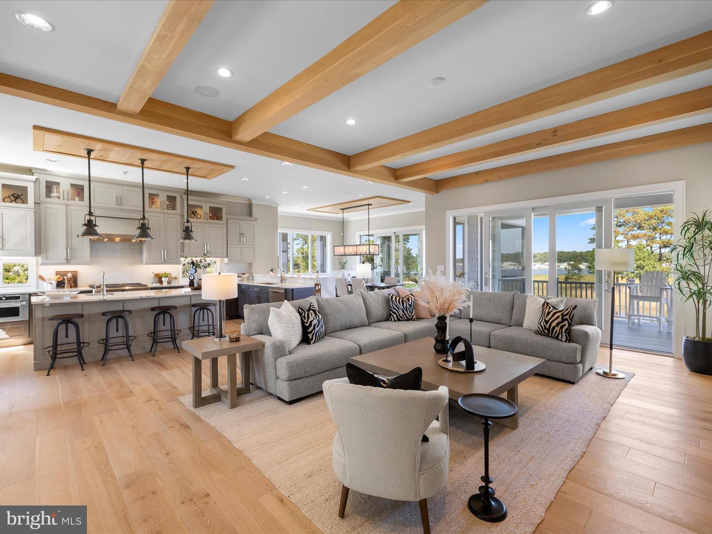 DESU2096970-804177340870-2025-09-18-13-16-20 33596 Sand Dollar Dr | Millsboro, DE Real Estate For Sale | MLS# Desu2096970  - Jack Lingo REALTOR