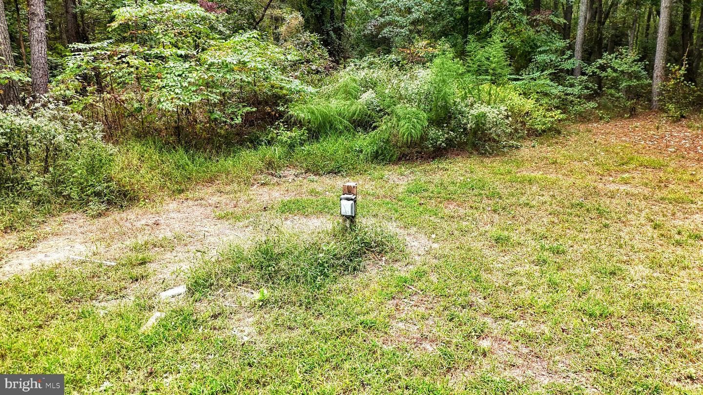 DESU2096988-804219322406-2025-10-04-09-14-06 29028 Black Pepper Ln | Georgetown, DE Real Estate For Sale | MLS# Desu2096988  - Jack Lingo REALTOR