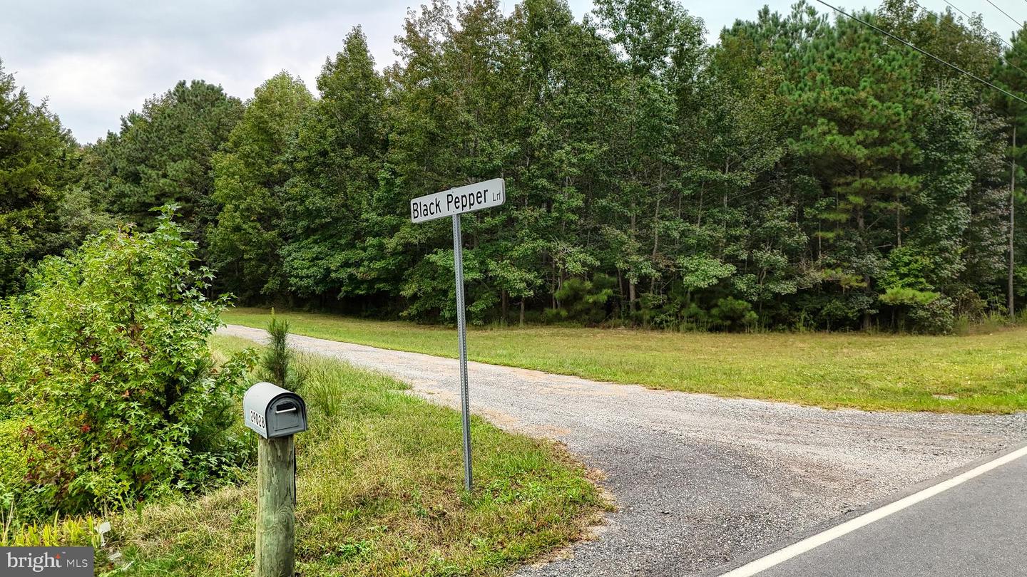DESU2096988-804219322604-2025-10-04-09-14-06 29028 Black Pepper Ln | Georgetown, DE Real Estate For Sale | MLS# Desu2096988  - Jack Lingo REALTOR